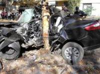 В Кривом Роге Renault врезался в дерево. Два человека погибли на месте