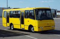 В Житомирской области водитель автобуса умер за рулем. В машине было более 20 пассажиров
