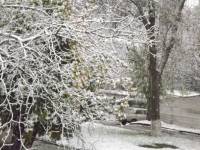 Хоть на календаре и конец октября, Украину уже засыпало первым снегом