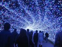 Японцы создали световую инсталляцию, ради которой туристы готовы отдать последние деньги
