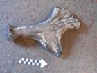 Куда там трипольцам. На Луганщине найдены останки мамонта возрастом в 30 тыс. лет, есть мнение, что и люди там жили