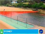 Вода на пляжах Сиднея вдруг стала кроваво-красной