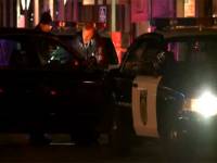 Похоже, у Брейвика появился последователь. В Калифорнии псих расстрелял людей, которые вышли посмотреть на новогодний салют