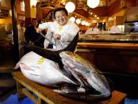 В Японии поймали тунца, который затянул почти на 2 миллиона долларов