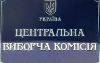 В ЦИК объяснили, как так получилось, что «тушкам» Табаловым выдали удостоверения