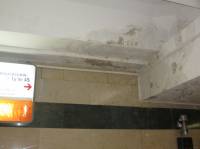 Дорогущие станции метро, которые открывал лично Азаров, плесневеют и разваливаются