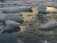 На Виннитчине два мальчугана ушли под лед. Хорошо, что рядом были взрослые