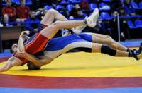 Из олимпийской программы исключат несколько видов борьбы?