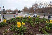 В Крым пришла настоящая весна