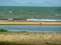 Природное чудо Африки — самое большое озеро в сердце пустыни