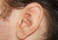 При помощи 3D-принтера создано человеческое ухо. Не отличить от настоящего