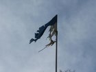 День защитника Отечества в Мукачево отметили потухшим Вечным огнем и порванным в клочья государственным флагом