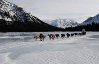 На Аляске стартовала многодневная гонка на собачьих упряжках