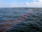 У побережья Одессы образовалось нефтяное пятно площадью более пяти квадратных километров