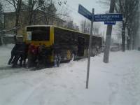 «Зимы такой не было, как эта весна»... Западная Украина в снежной ловушке