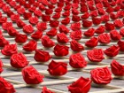 «Миллион, миллион, миллиона алых роз» - это не песня, а инсталляция в Цвейбрюкене