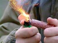 Задержанный в США «украинский террорист» уверяет, что вез не бомбы, а петарды. Говорит, дурная была идея