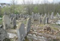 В Винницкой области трое подростков ради забавы разбили 66 могильных плит