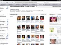 В Facebook появилась группа поддержки «Вадика Румына»