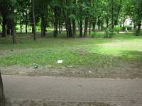 В Киеве уникальный дубовый парк превращается в помойку