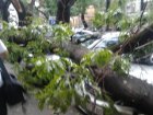 По Одесщине прошелся очередной разрушительный ураган