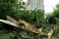 Ураган в Мариуполе валил деревья и обрывал балконы