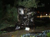 Суровые николаевские водители рубят деревья, не выходя из машины