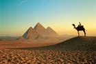 Новый временный президент Египта уже принес присягу... Знать бы, как это все отразится на туризме?