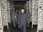 Лидер Северной Кореи осмотрел грибы стратегического назначения