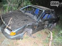 Веселый криворожский водитель выпил в гараже, протаранил деревья и соврал гаишникам, что машина была в угоне