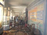 В Киеве горел музей природоведения. Погибли 30 животных