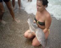 В Крыму отдыхающие, фотографируясь с акулой, замучили ее до смерти