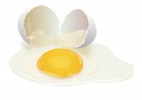 Протест по-французски – это разбить яйца. Чем больше, тем лучше