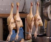 Скоро ли отведает Европа «ножек Азарова»?