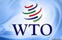 ВТО вообще не в курсе, что между Россией и Украиной началась торговая война: туда никто и не обращался по таким пустякам