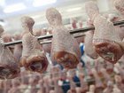 В связи с запретом экспорта в Казахстан украинскими производителями курятины заинтересовалась наша Госветфитослужба