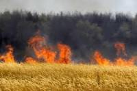 В Украине из-за дождей снизился уровень пожарной опасности