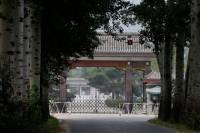 Гениально. В Китае решили сажать за вранье в интернете