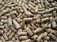 Белоруссия отказалась от украинского подсолнечного шрота из-за африканской чумы