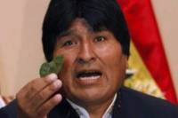 В Боливии судья Конституционного суда предсказал президенту победу при помощи листьев коки
