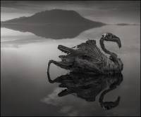 Это — не фотошоп. Это — настоящее озеро смерти в Танзании, превращающее живых существ в камень