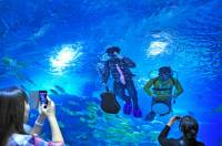Китайская группа «Ocean Band» умудрилась дать концерт под водой