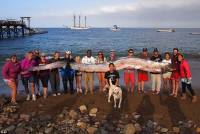 У берегов США поймали гигантского монстра в серебристой чешуе
