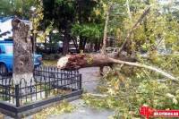 Ураган в Крыму поднял 4-метровые волны и ломал деревья