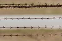 Началось. Россия уже обносит Украину колючей проволокой