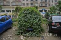 Вы не поверите, что может случиться с автомобилем в Китае, если припарковать его и оставить на год