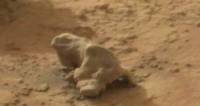 Охотник за НЛО утверждает, что на снимках NASA рассмотрел на Марсе окаменевшую игуану