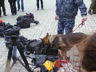 На встрече с Януковичем в Запорожье журналистов обыскивали немецкие овчарки