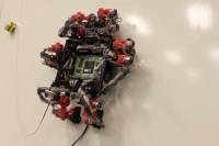 Исследователи ESA создали весьма необычного робота для работы в космосе