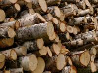 Евромайдан не замерз, но дрова срочно нужны